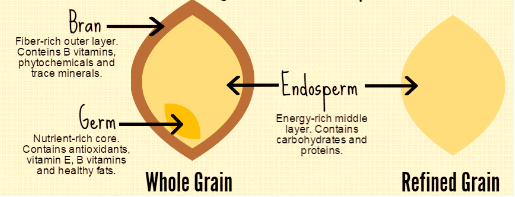 Why Whole Grains   U2013 Food  U0026 Wellness